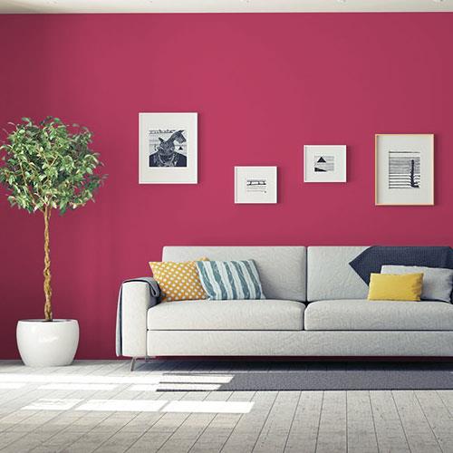 fuschia flush
